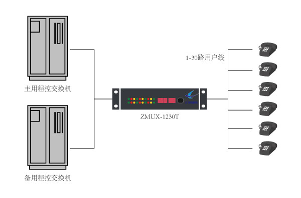 ZMUX-1230T组网应用图